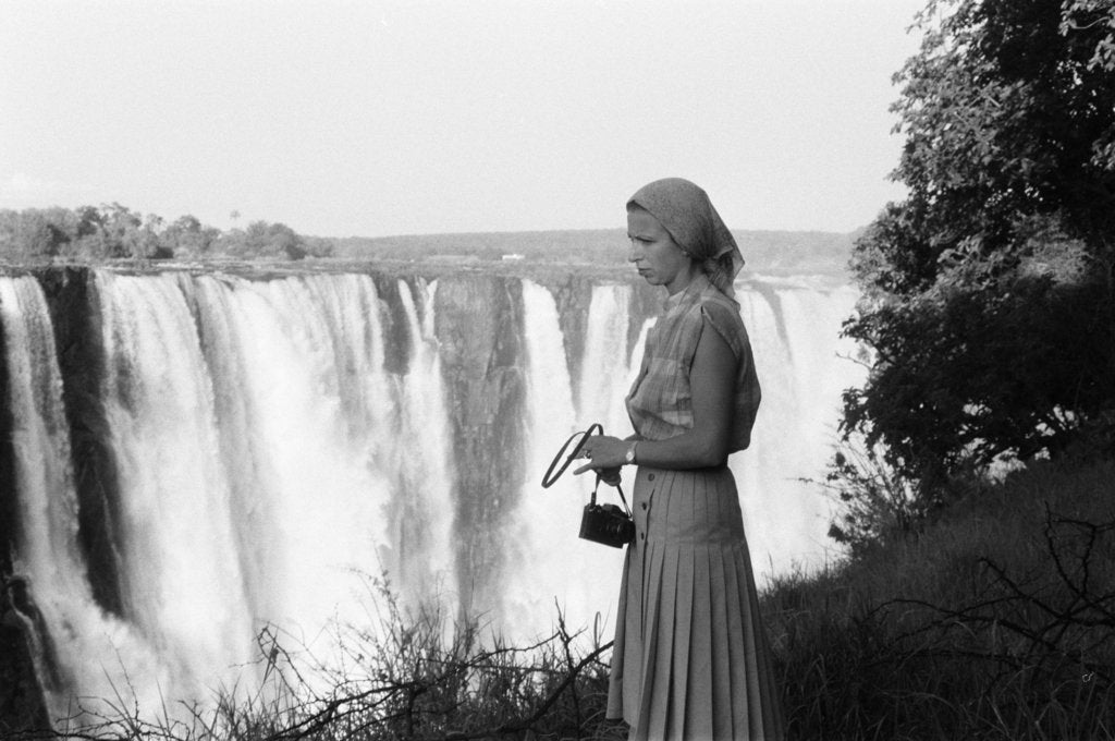 Detail of Princess Anne by Kent Gavin