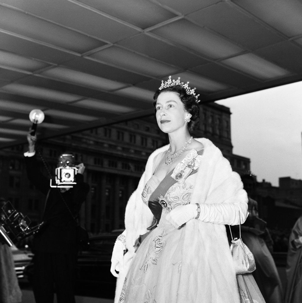 Detail of Queen Elizabeth 1959 by Freddie Reed