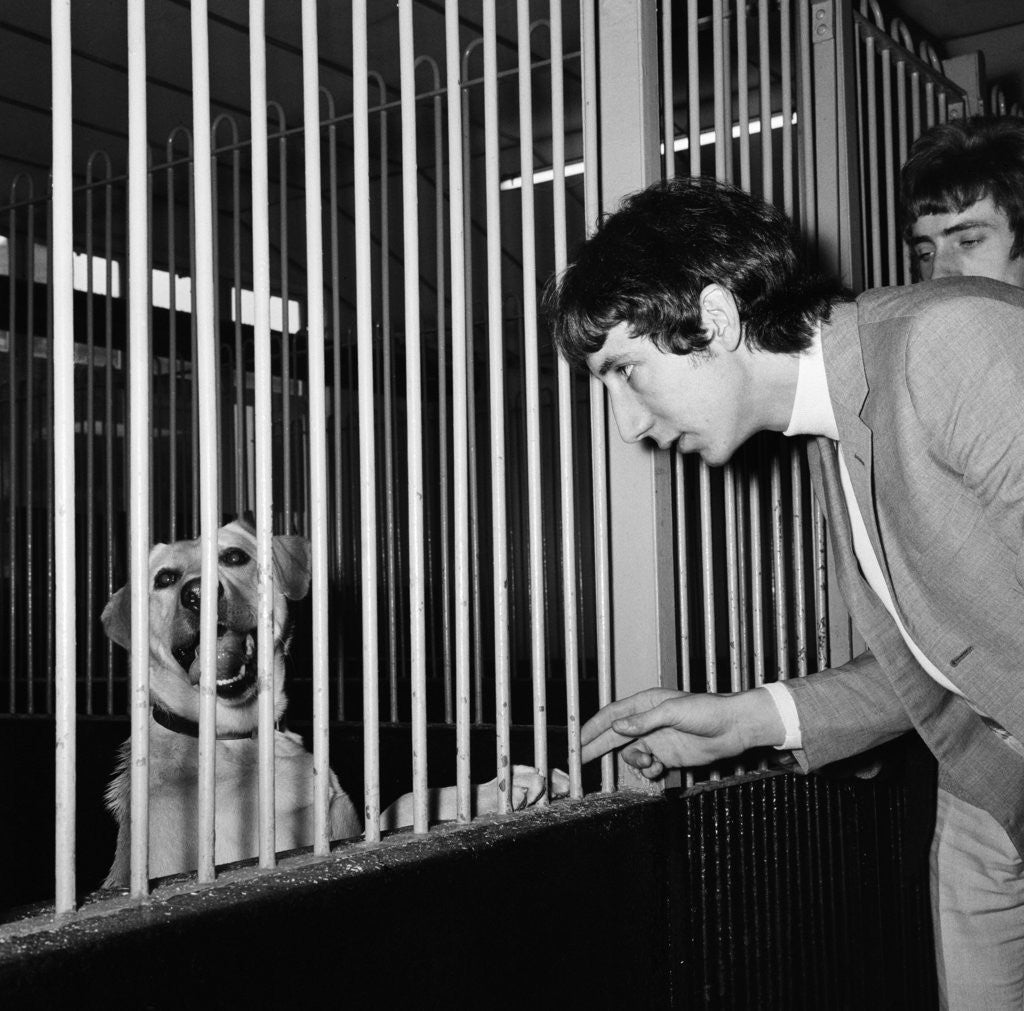 Detail of The Who group 1965 by Charles Ley