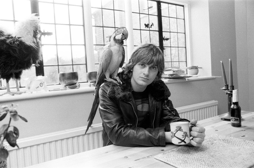 Detail of Mike Oldfield by Peter Stone