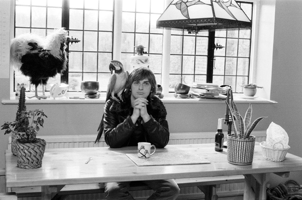 Detail of Mike Oldfield by Peter Stone