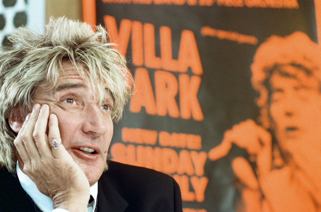 Detail of Rod Stewart 1995 by Bull