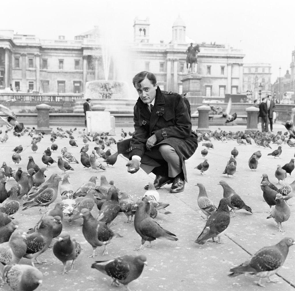 Detail of Robert Vaughn by Eddie Waters