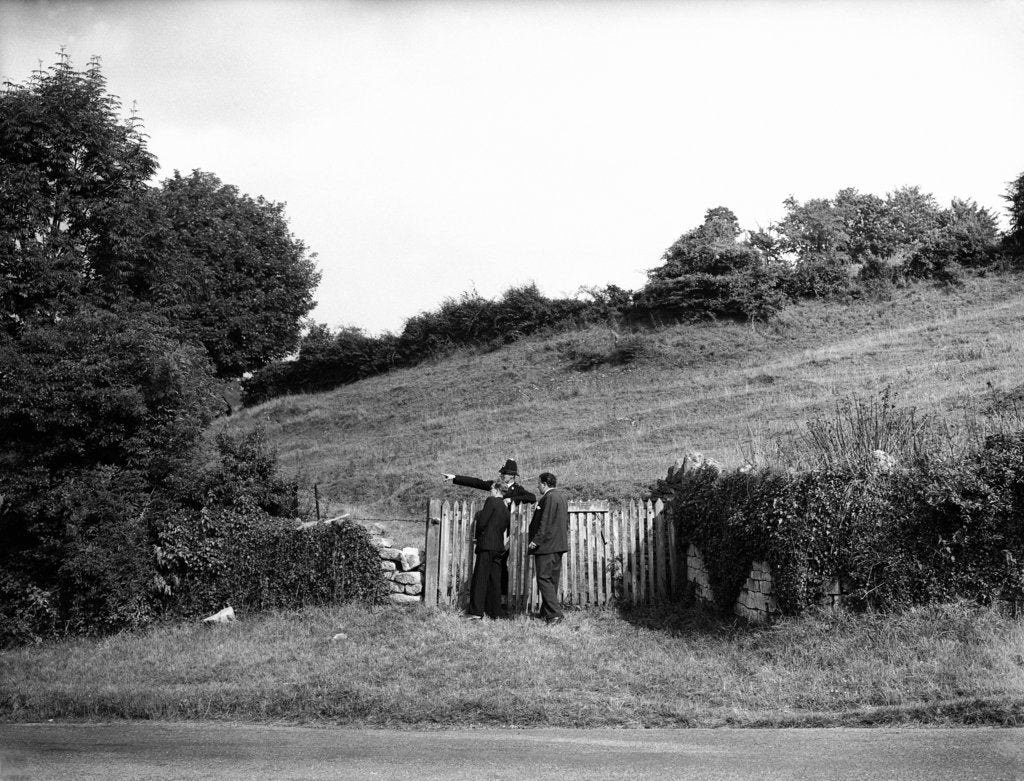 Detail of View of Bloomfield 'Tump', Bath 1951 by Greaves