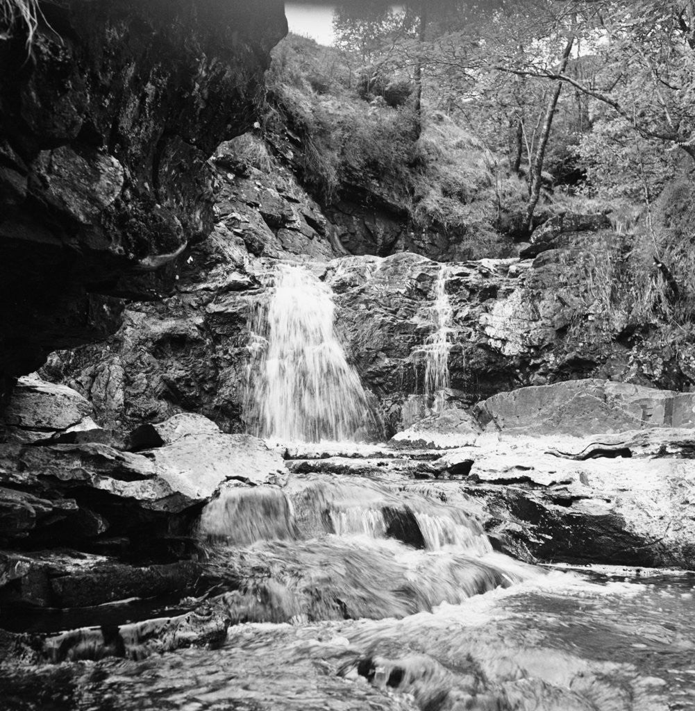 Detail of River Dee 1952 by Staff