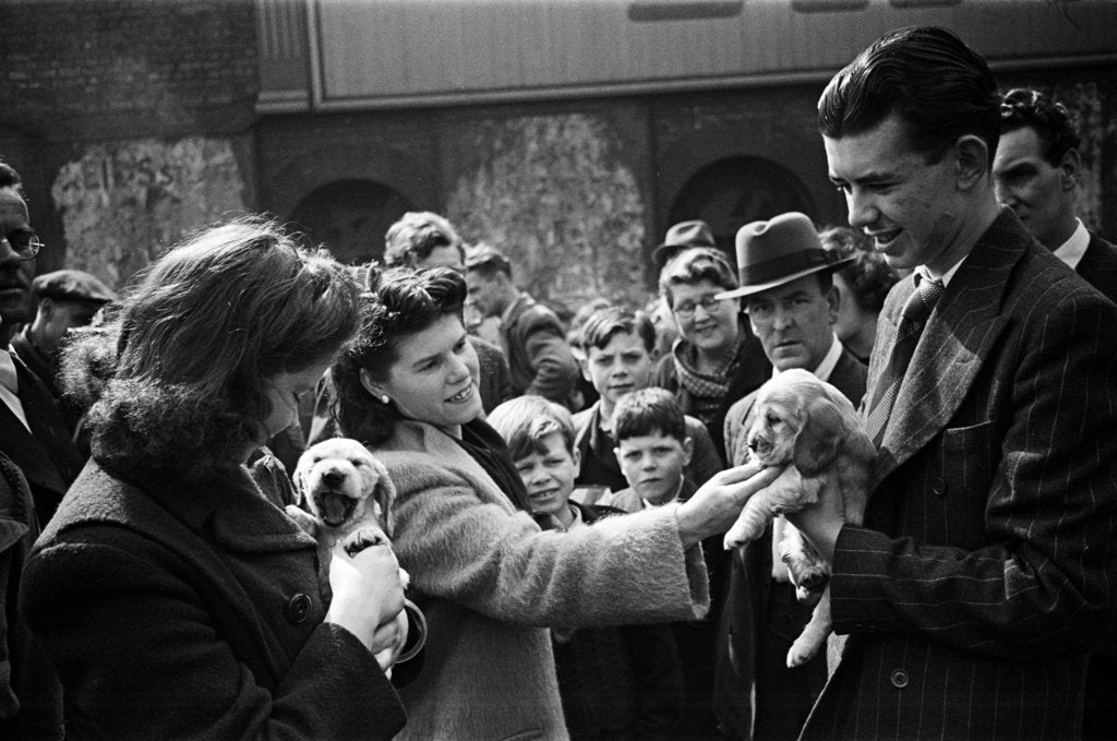 Detail of Bethnal Green 1946 by Staff