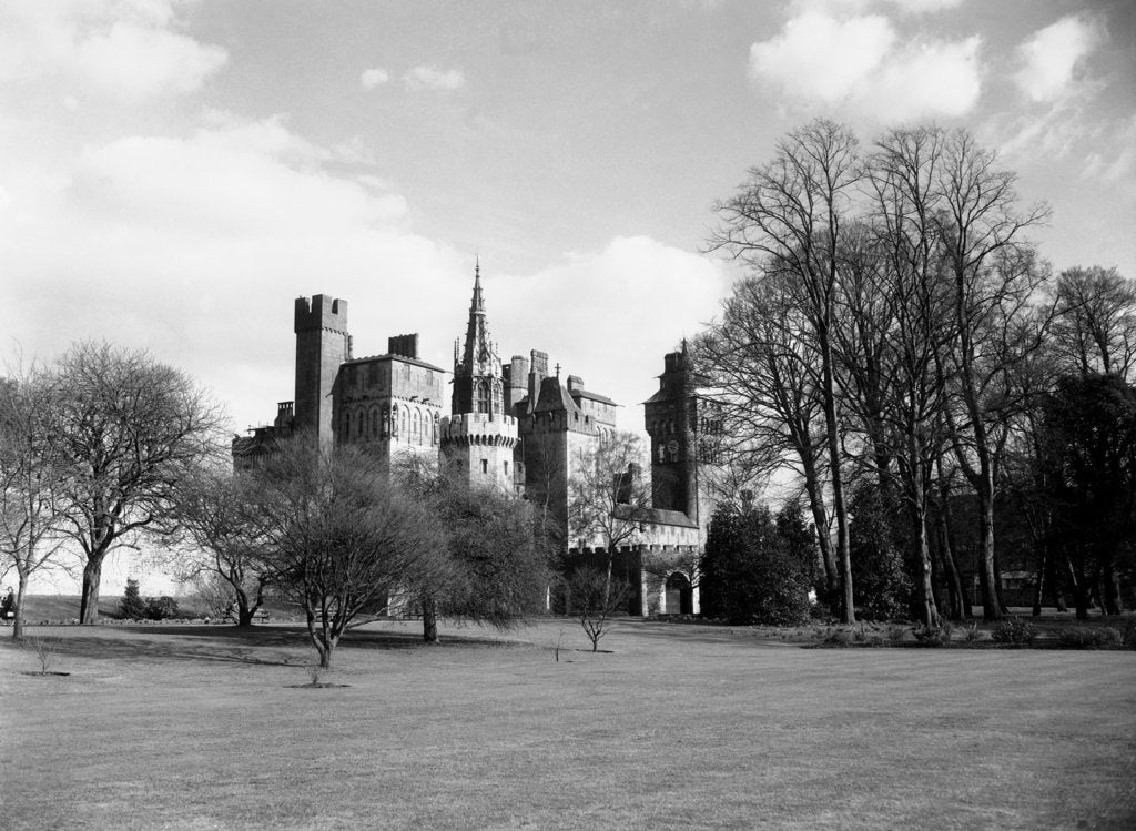 Detail of Cardiff Castle by Staff
