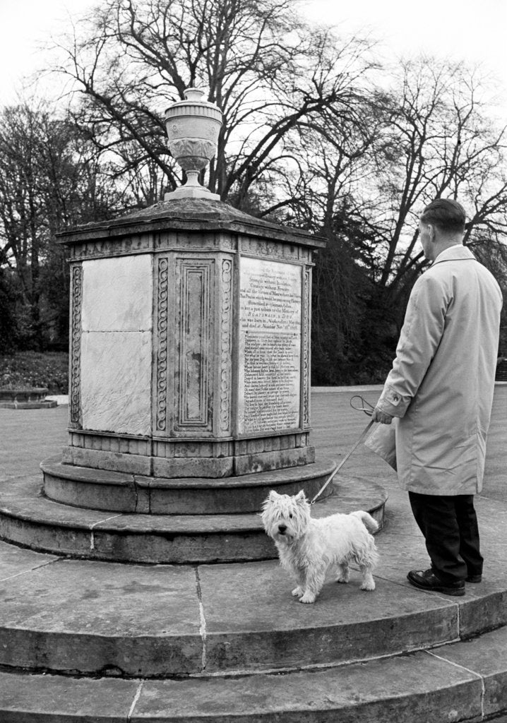 Detail of Newstead Abbey by Staff