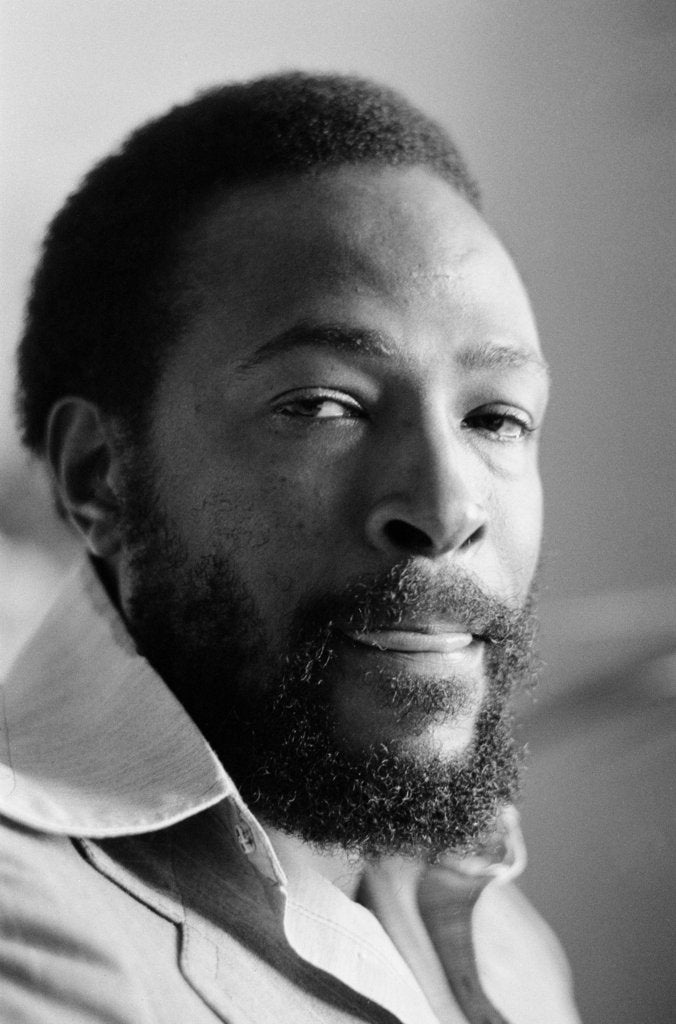 Marvin Gaye by Mike Maloney