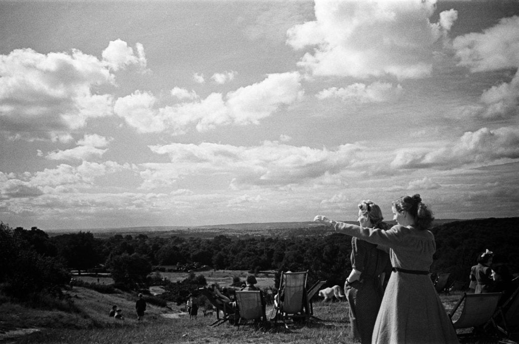 Detail of Hamsptead Heath by Staff