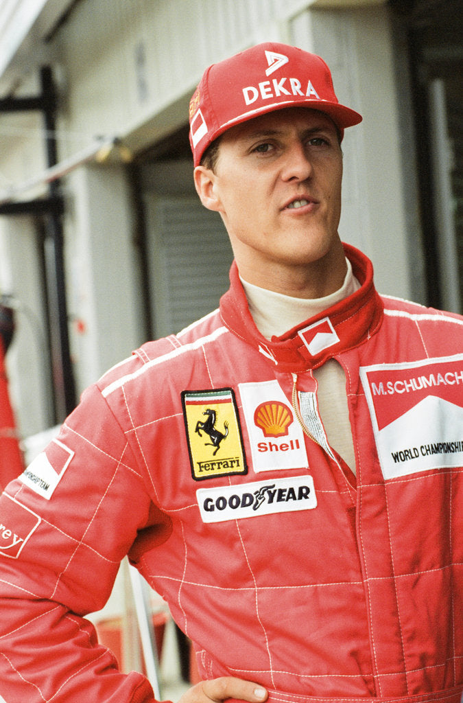 Detail of Michael Schumacher by Dale Cherry