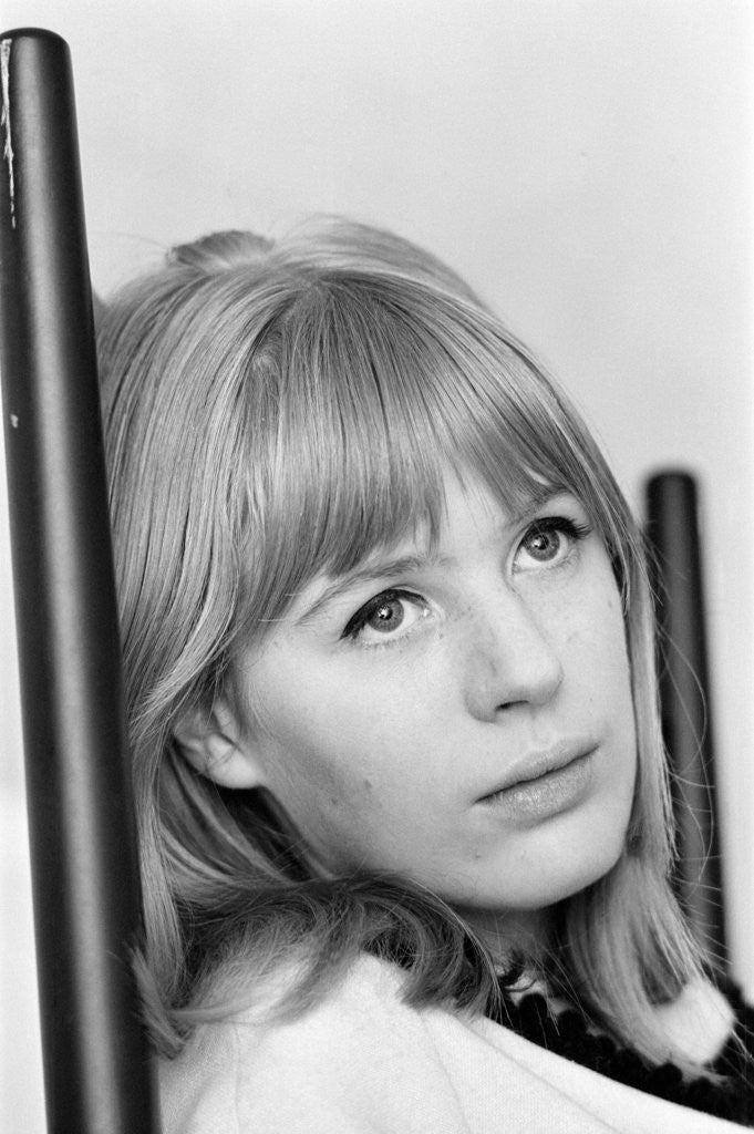 Detail of Marianne Faithfull by Davies