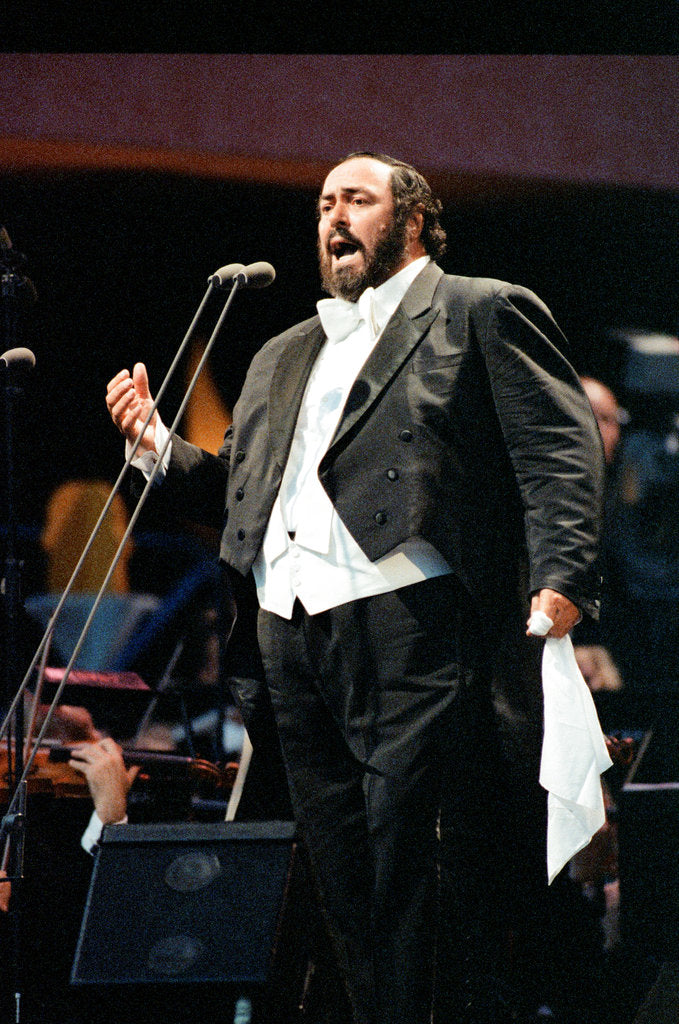 Detail of Luciano Pavarotti's free concert, Hyde Park, 1991 by Ken Lennox