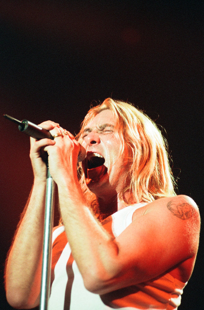 Detail of Def Leppard by BPM Staff