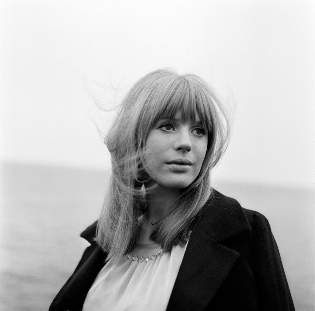 Detail of Marianne Faithfull by Terry Mealy