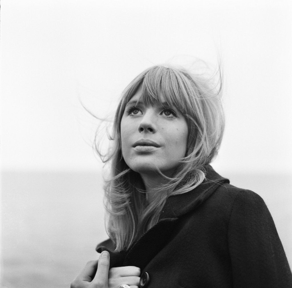 Detail of Marianne Faithfull by Terry Mealy
