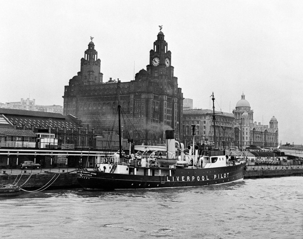 Detail of View of Liverpool 1954 by Bela Zola