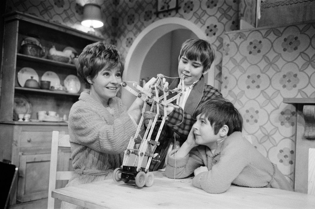 Detail of Prunella Scales by Alistar Macdonald