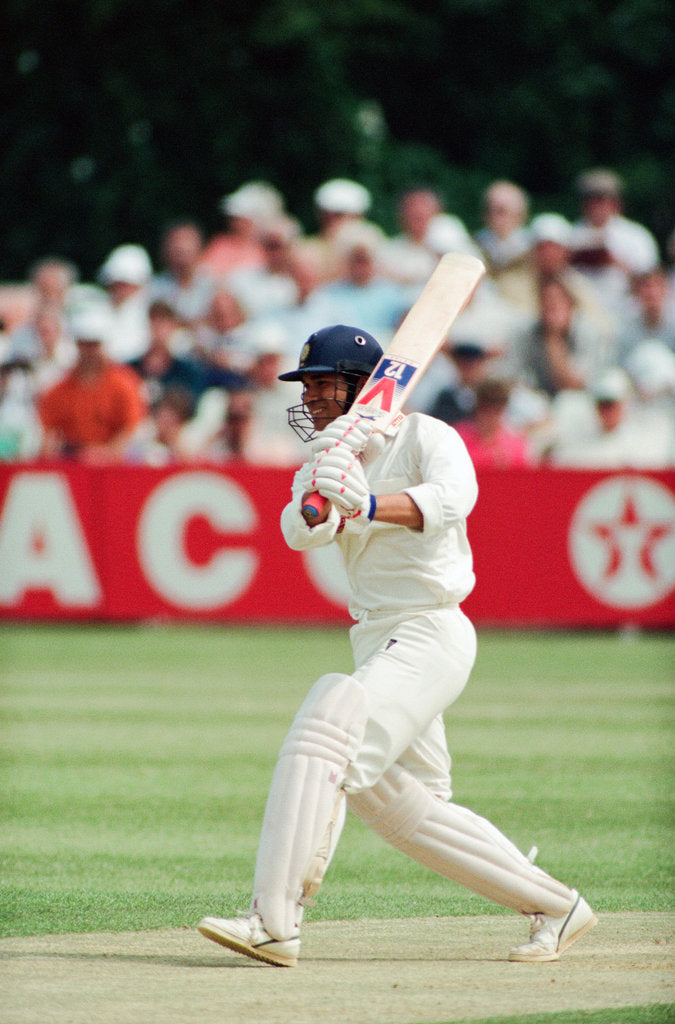 Detail of Cricket 1992 by Paul France