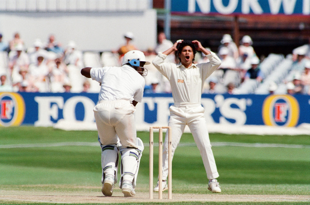 Detail of Cricket 1992 by Howard Walker