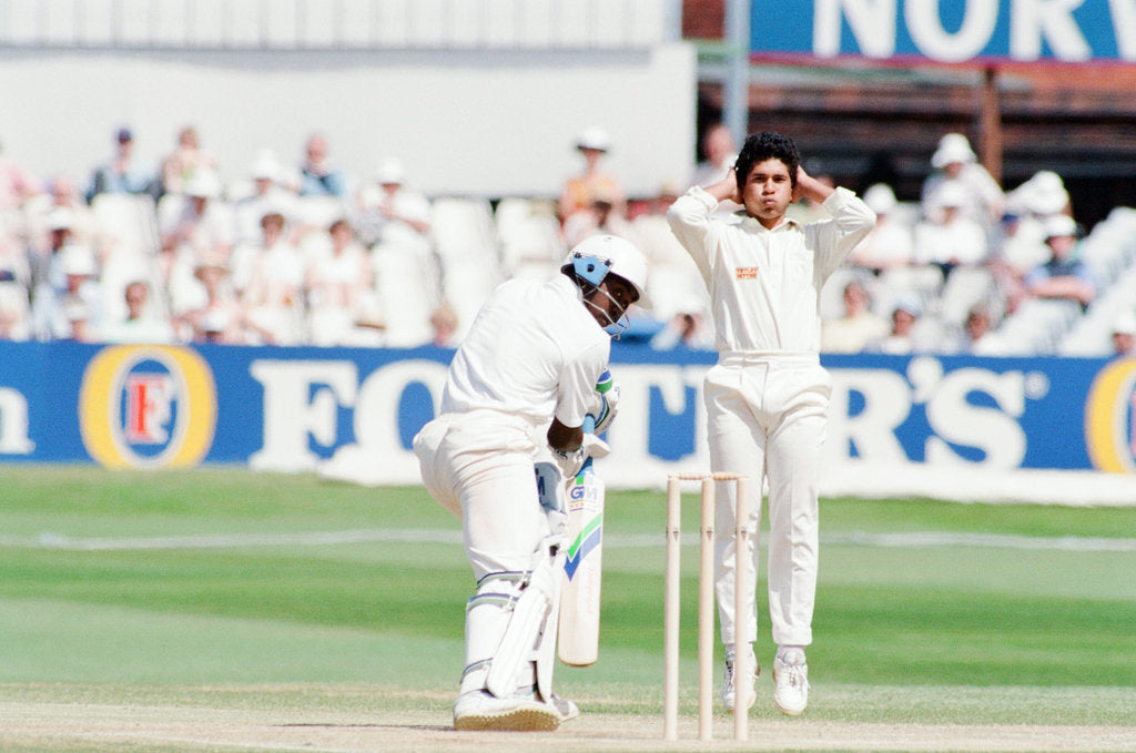 Detail of Cricket 1992 by Howard Walker