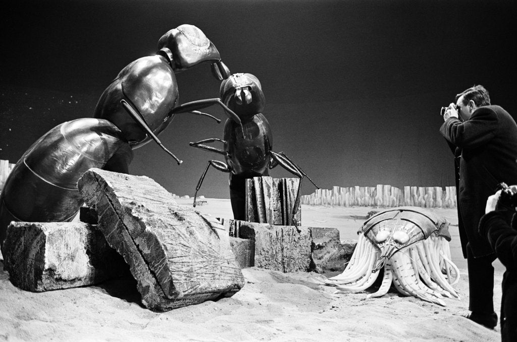 Detail of Dr Who, The Web Planet, 1965 by Alisdair MacDonald