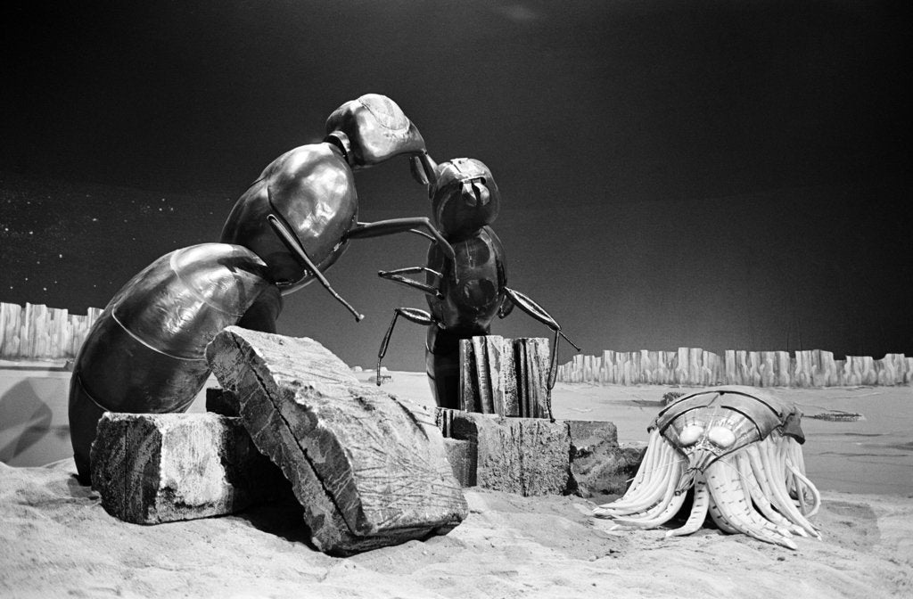 Detail of Dr Who, The Web Planet, 1965 by Alisdair MacDonald