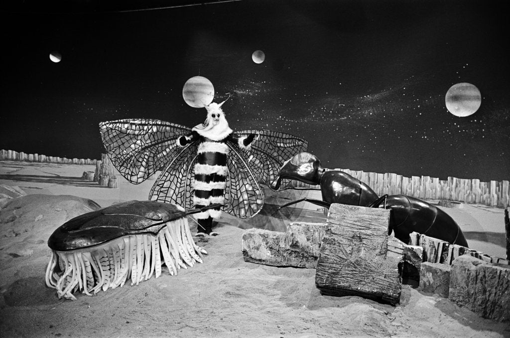 Detail of Dr Who, The Web Planet, 1965 by Alisdair MacDonald