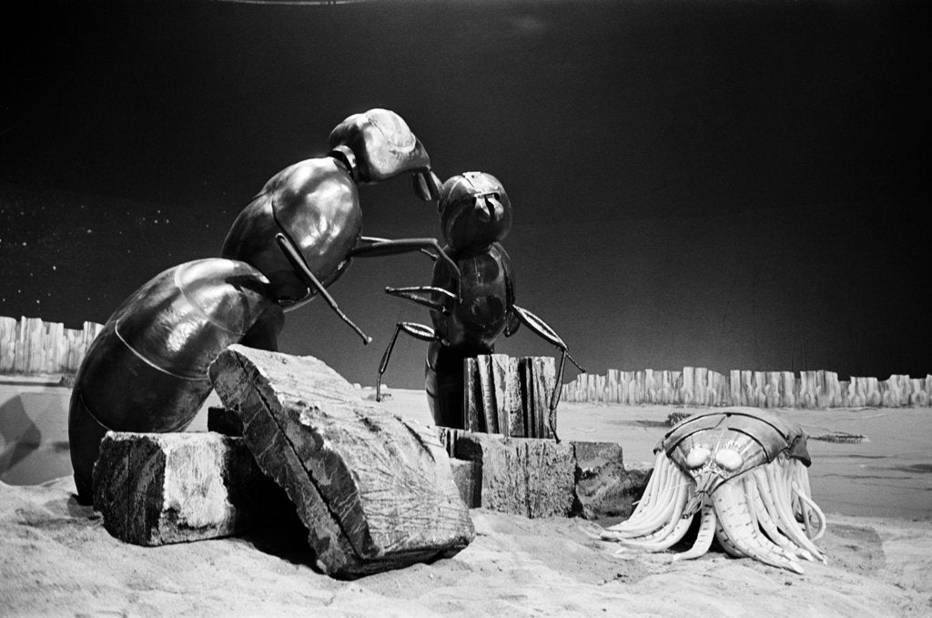 Detail of Dr Who, The Web Planet, 1965 by Alisdair MacDonald