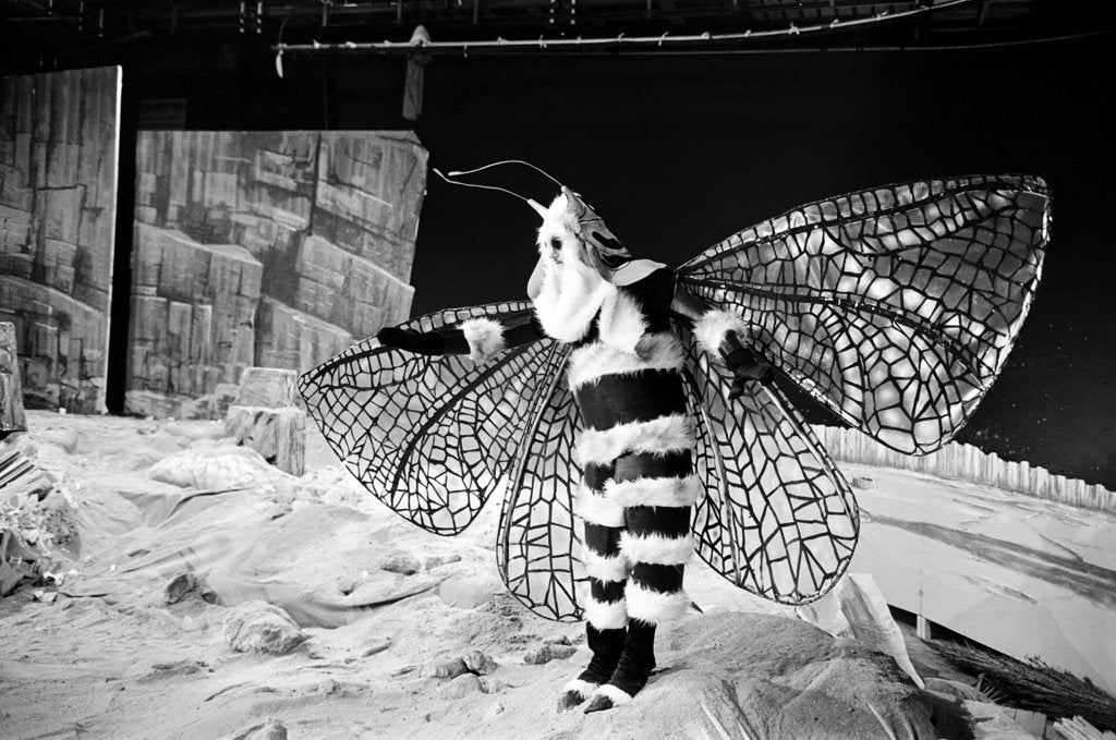 Detail of Dr Who, The Web Planet, 1965 by Alisdair MacDonald