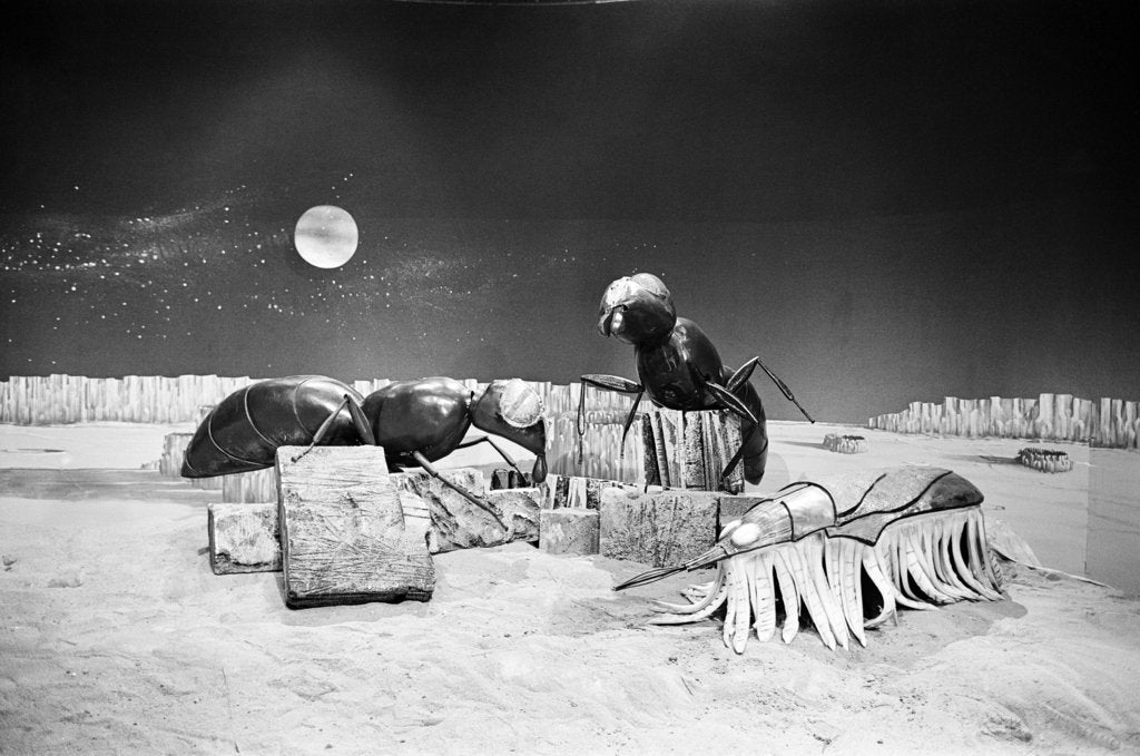 Detail of Dr Who, The Web Planet, 1965 by Alisdair MacDonald