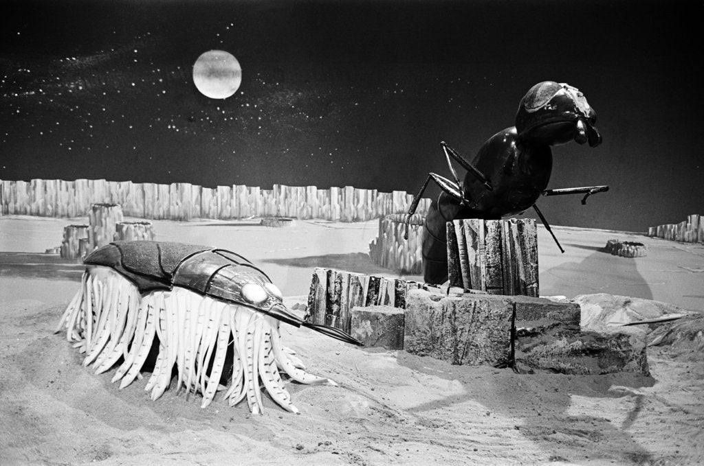 Detail of Dr Who, The Web Planet, 1965 by Alisdair MacDonald