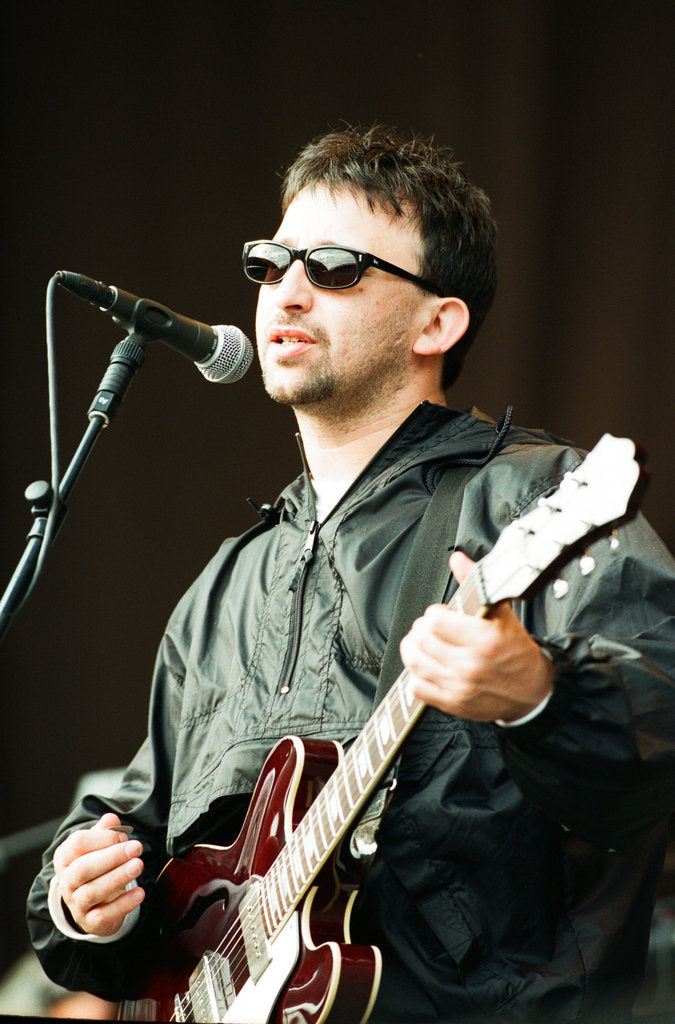 Detail of The Beautiful South by Staff