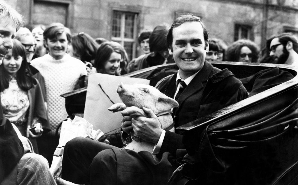 Detail of John Cleese, 1971 by Staff