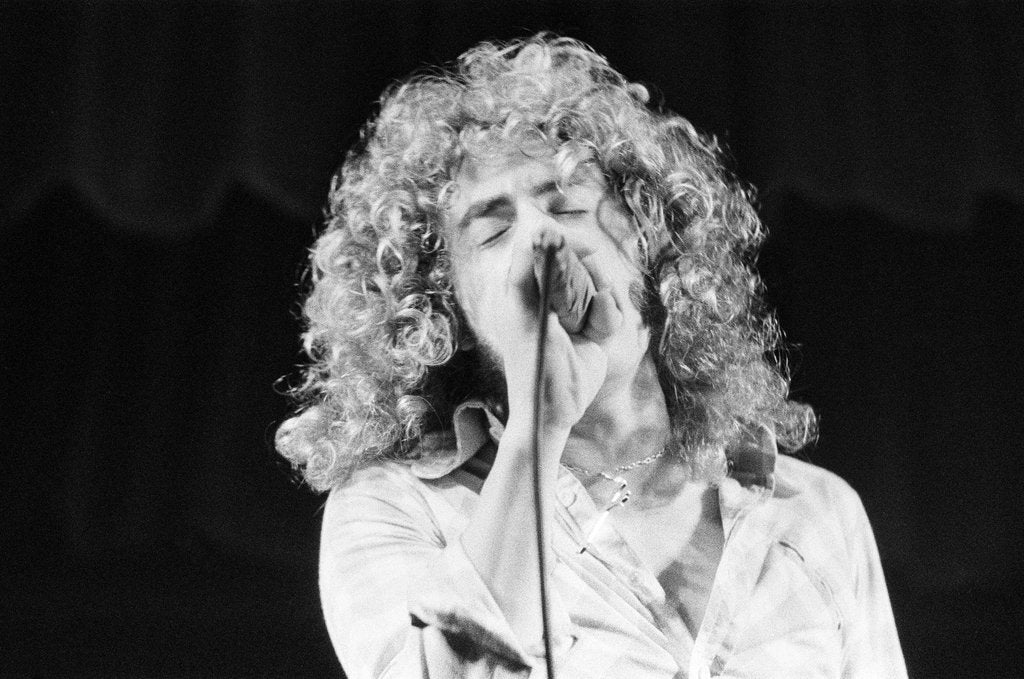 Detail of The Who on stage 1971 by Staff