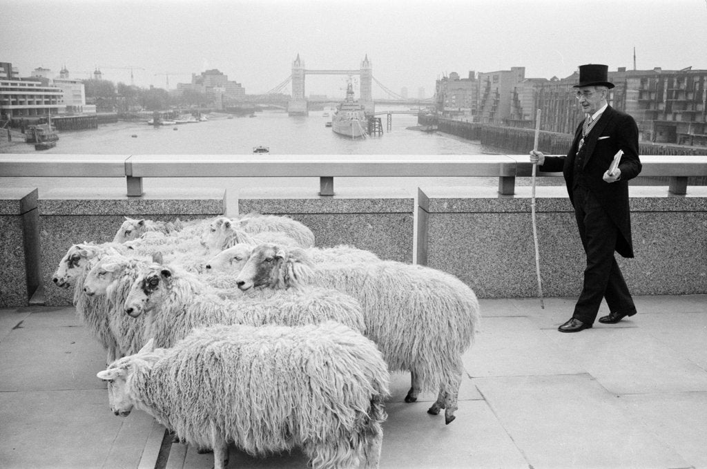 Detail of Harold Mote by Alistar Macdonald