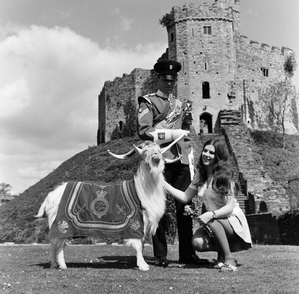 Detail of Cardiff Castle, 1969. by Ron Harding