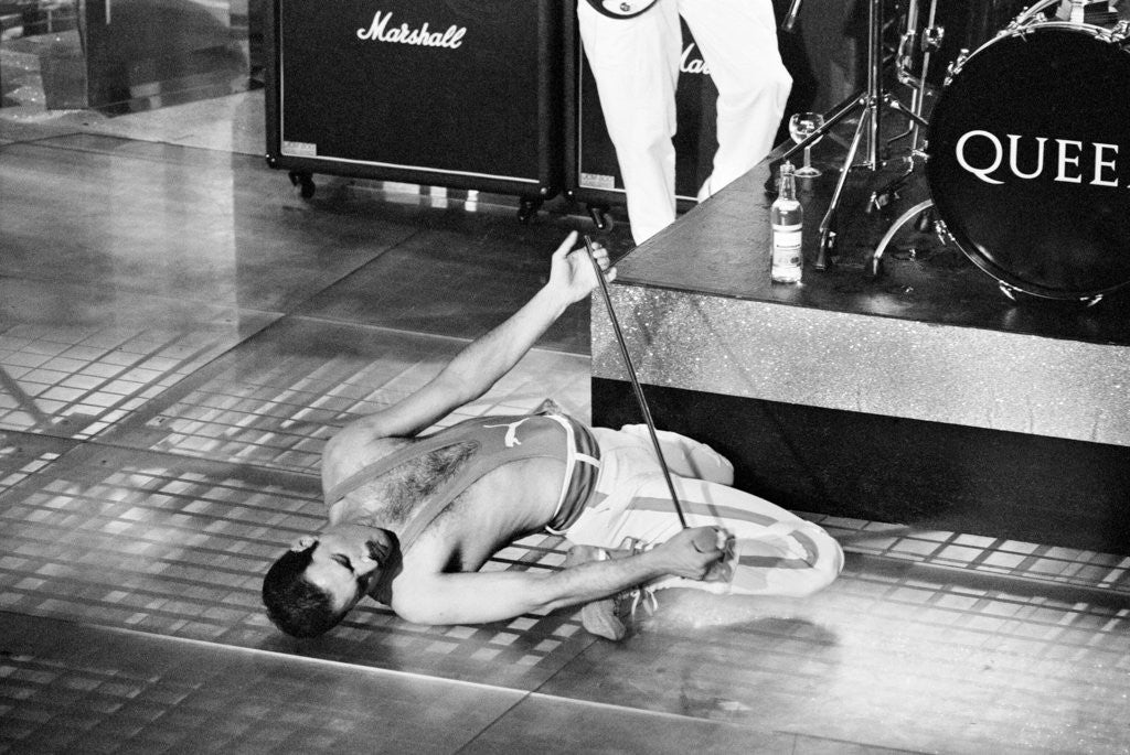 Detail of Freddie Mercury by Bill Rowntree