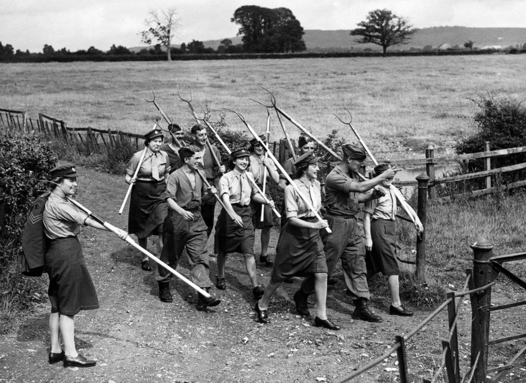 Detail of Haymaking by Staff
