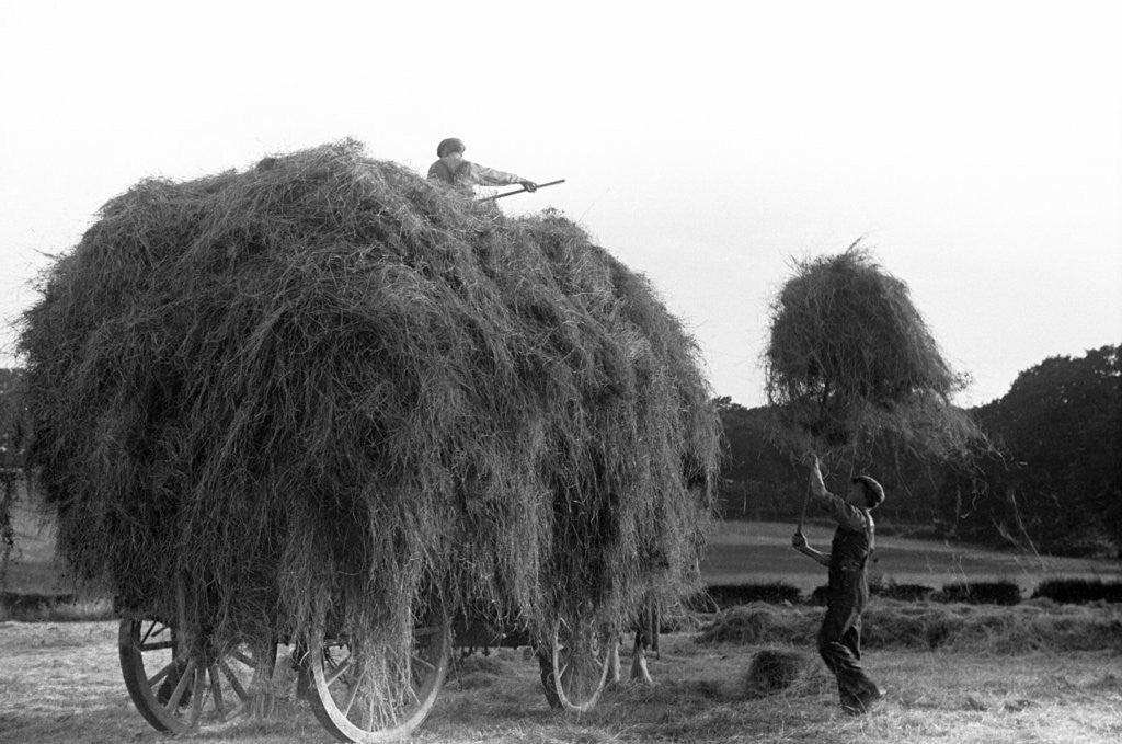 Detail of Haymaking at Penshurst July 1939 by Bernard Alfieri