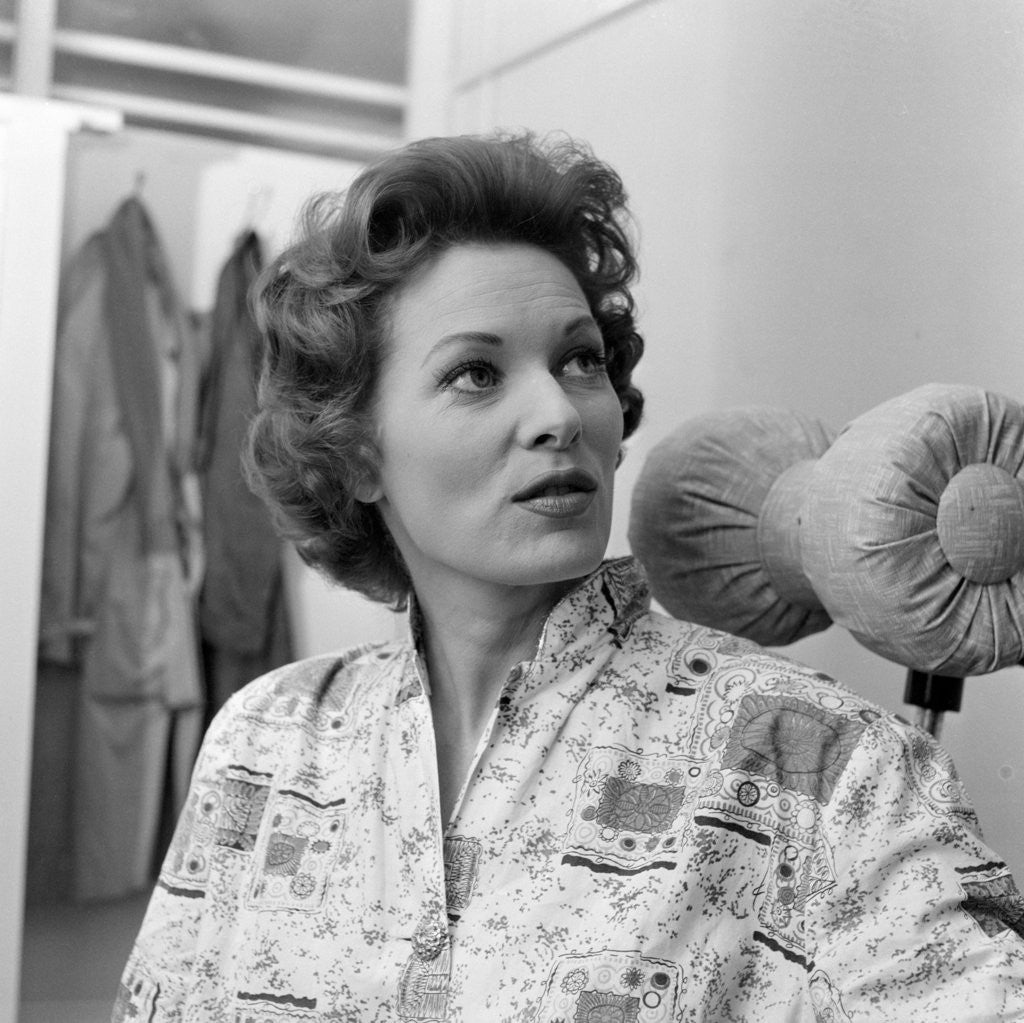 Detail of Our Man in Havana by Julie Hamilton