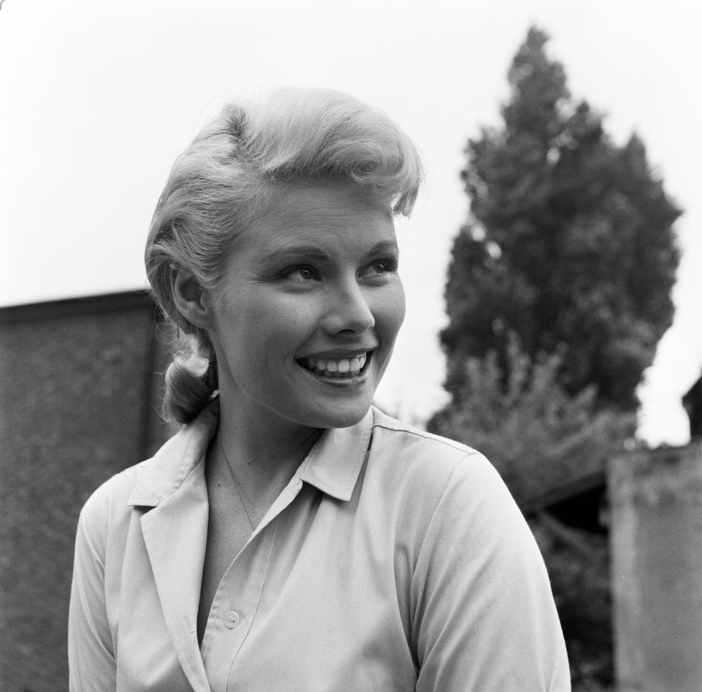 Detail of Our Man in Havana by Julie Hamilton