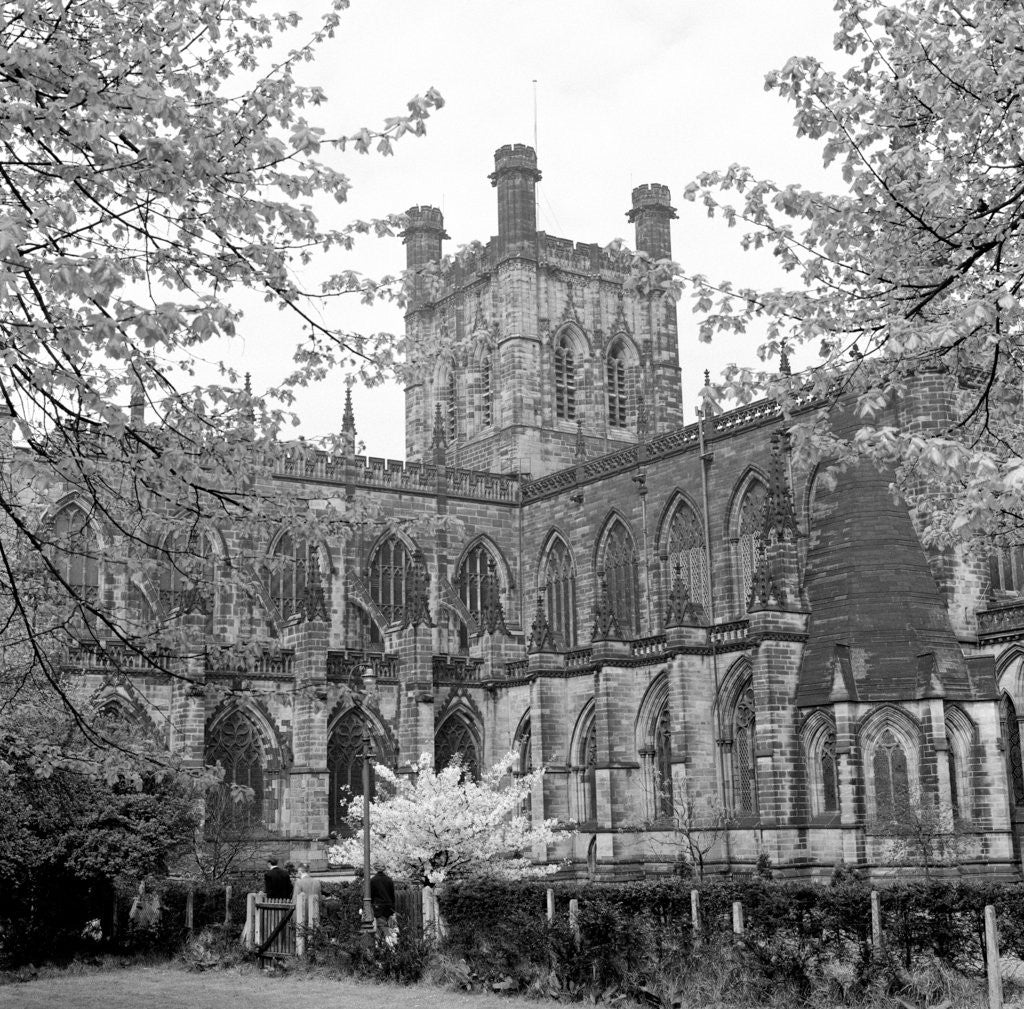 Detail of Chester Cathedral, Cheshire, 1961. by Terry Fincher