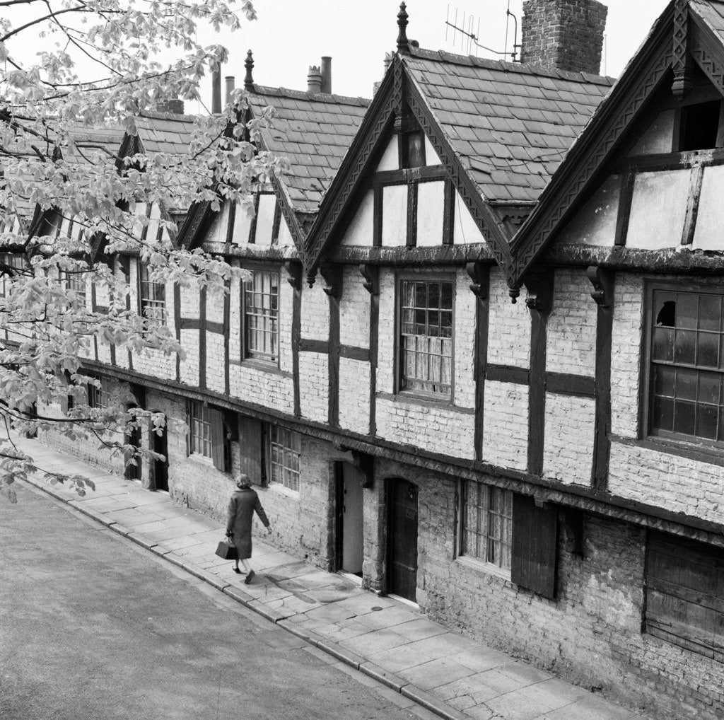 Detail of Nine Houses, Chester, Cheshire, 1961. by Terry Fincher