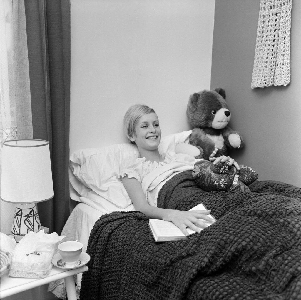 Detail of Twiggy by Doreen Spooner