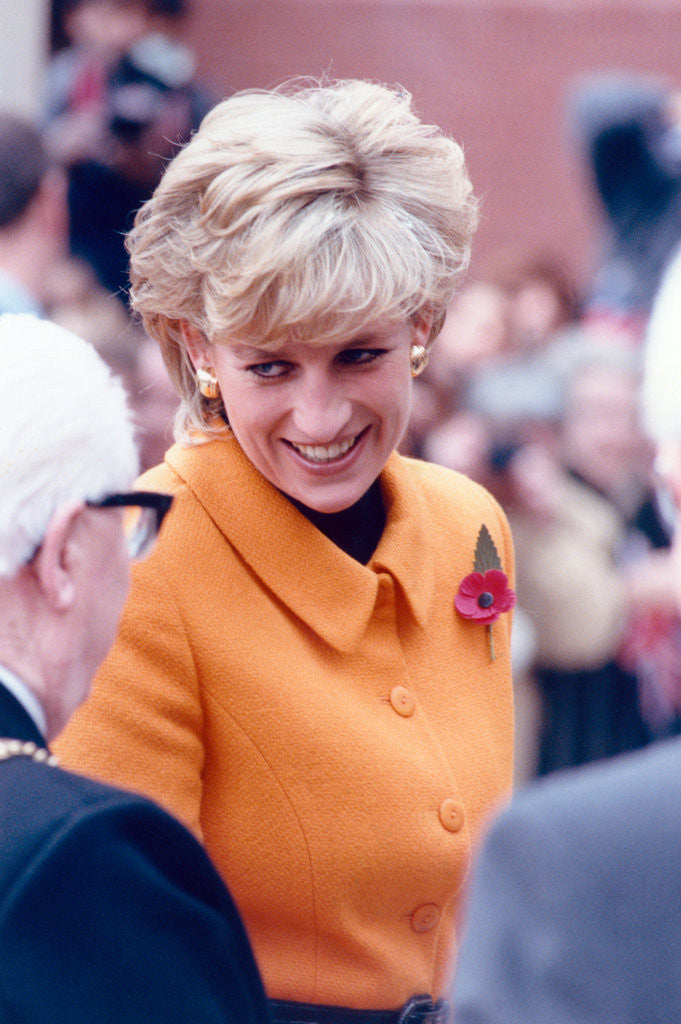 Detail of Princess Diana 1995 by Liverpool Echo