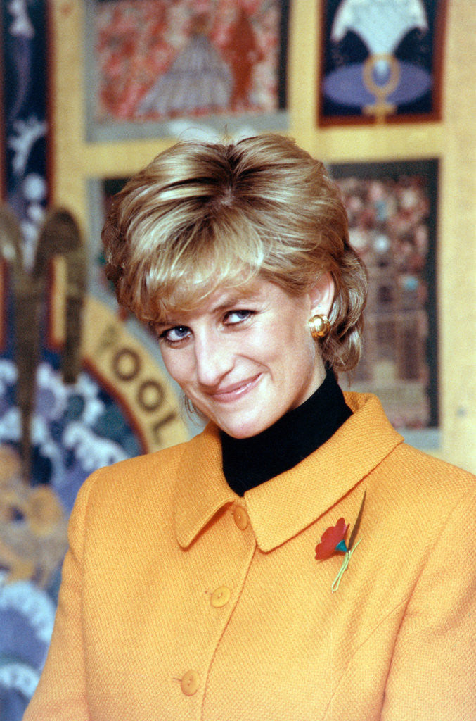 Detail of Princess Diana 1995 by Liverpool Echo