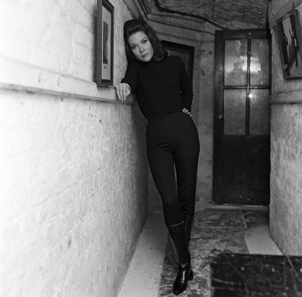 Detail of The Avengers by Doreen Spooner