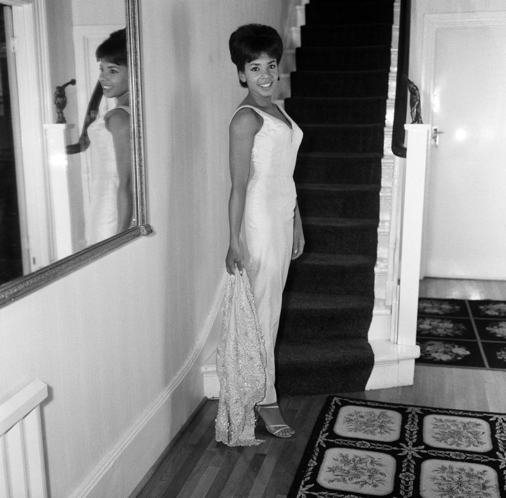 Detail of Shirley Bassey by Freddie Reed