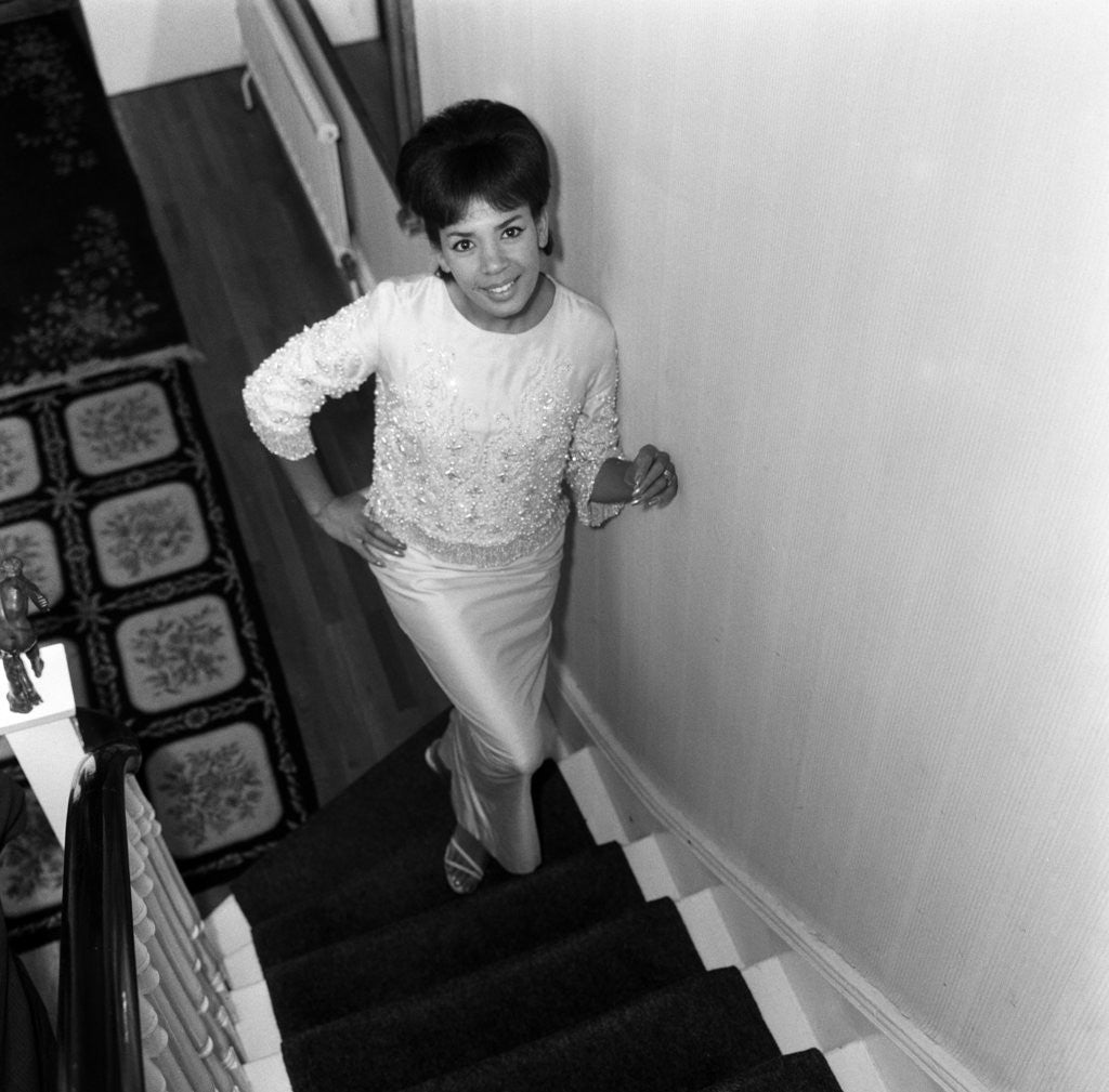 Detail of Shirley Bassey by Freddie Reed